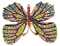 Rainbow Gem Butterfly