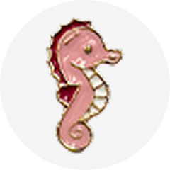 Seahorse