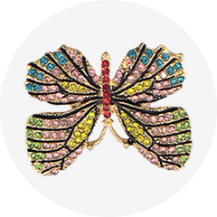 Rainbow Gem Butterfly